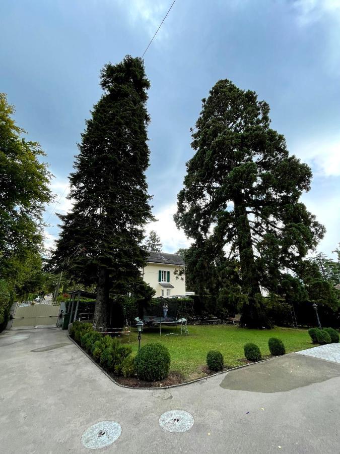 Residence Mont-Blanc Женева Экстерьер фото